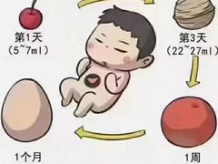 -大班家政月嫂育儿嫂(总部店)