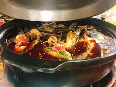 -金海椒罐罐鲢鱼(东方桂苑店)