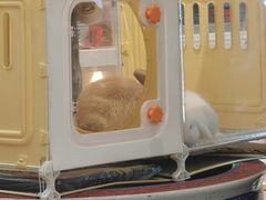 -那红花·东北菜铁锅炖(仙林金鹰店)