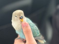 -千岛湖九龙溪漂流