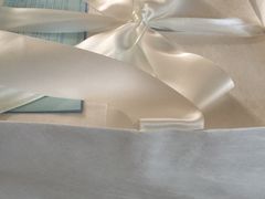 -BLACKSWAN黑天鹅(环球店)