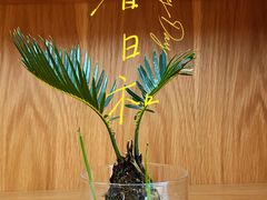 -爱欢洗ifunwash(北辰店)