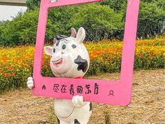 -秀丽东方