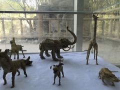 -石家庄市动物园