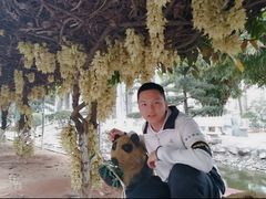 -盛兴中英文学校