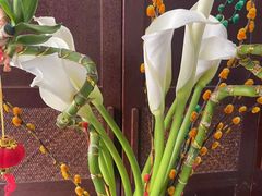 -双季花艺园艺市场(浦东店)