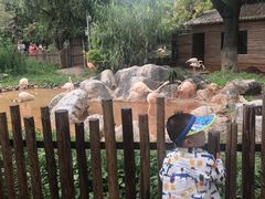 -昆明动物园