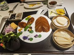 -梧桐