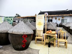 -苏州市吴中区光福窑上花果蜜饯厂