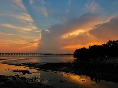 -宝安西湾红树林湿地公园