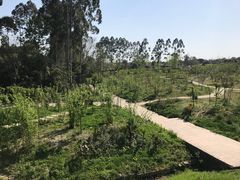 -三圣花乡旅游区