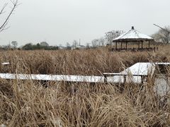 -梁鸿国家湿地公园