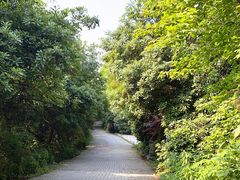 -虞山风景区