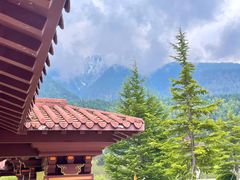 -林芝工布庄园希尔顿酒店-猎味中餐厅