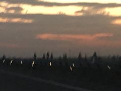 -星悦蓝海欢乐园(石路天虹店)