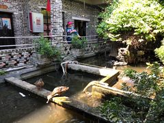 景观位-优之名鹅城