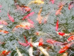-南北湖湖光山居度假酒店