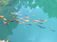 -同路人(江北店)