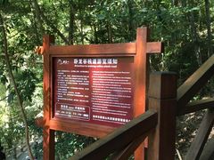 -雁荡山风景名胜区-小龙湫