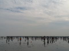 -奉贤海滩