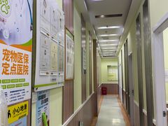 -瑞鹏宠物医院·宠保定点·心脏科·内科(御桥分院)