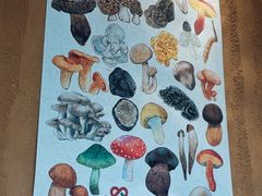 -滇野云南野生菌餐厅(陕西南路店)