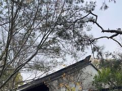 -拙政园