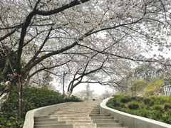-杭州少年儿童公园