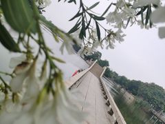 -广富林郊野公园