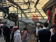 -康百万庄园