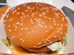 -麦当劳(塔园路店)