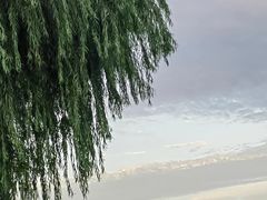 -大小河街