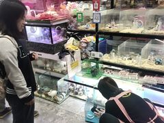 -大自然花鸟鱼虫市场