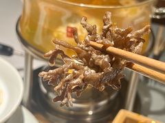 -叶叶菩提·晋福宫