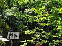 -五泄景区