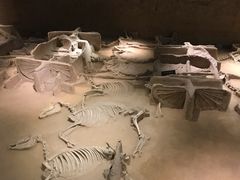 -洛阳周王城天子驾六博物馆