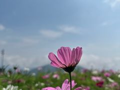 -太舞滑雪小镇