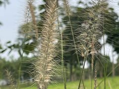 -怡海公园(桂城街道)