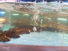 -王庄阿咪海鲜大排档(象园店)