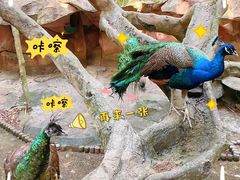 -青青世界