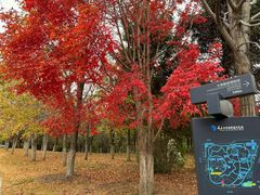 -长春世界雕塑园冰雪艺术天地