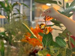 -Grande A'moo(上海万象城店)