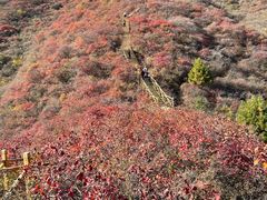 -水峪民俗村