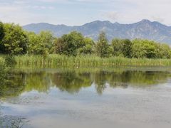 -野鸭湖国家湿地公园