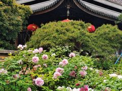 -龙华寺