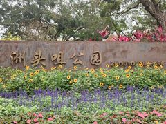 -洲头咀公园