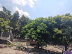 -南丹山森林王国