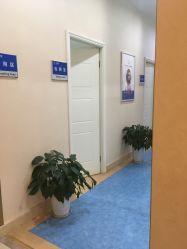 -碧莲盛·不剃发植发