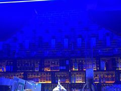 -花腰餐吧Bistro烧烤 傣味(传媒大学店)