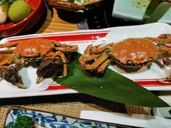 -蟹将军·松叶蟹和牛日料放题自助(K11店)